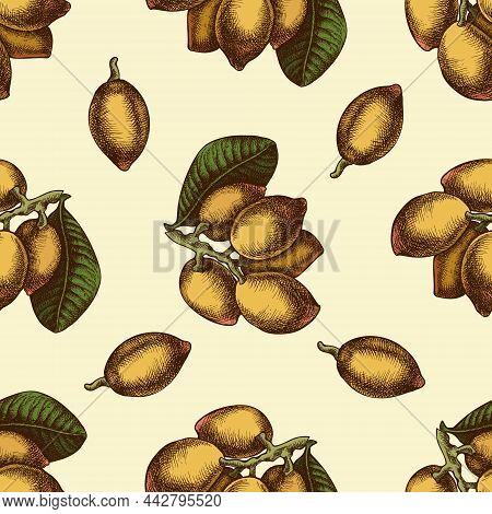 Seamless Pattern With Hand Drawn Colored Pistachio, Letters Stock Illustration