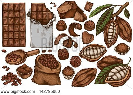 Vector Set Of Hand Drawn Colored Cocoa Beans, Cocoa, Chocolate, Chocolate Candies Stock Illustration
