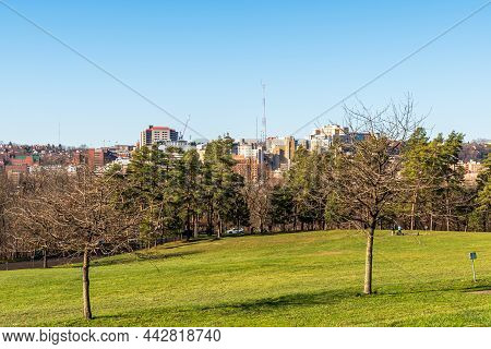 Pittsburgh, Pennsylvania, Usa December 12, 2021 Trees On The Disc Golf Course In Schenley Park With 