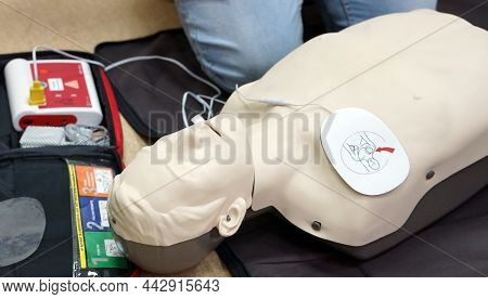 Basic Life Support Simulation Scenario For Medical Students On A Dummy With An Automatic External De