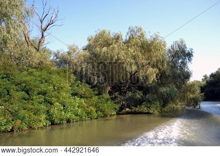 The Danube Delta Is A Labyrinth Of Lakes And Canals, With A Compact Reed Surface, It Is One Of The A