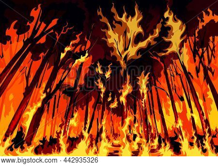 Forest Fire Or Wildfire Danger Disaster, Burning Forest Trees And Bushes, Vector Background. Wall Of