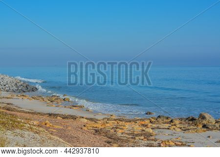 The Rocky Atlantic Coast, At Marineland Beach In Marineland, Flagler County, Florida