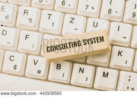 Conceptual Caption Consulting System. Business Showcase Helping Firms Improve Process Adequacy And F