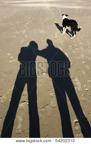 a dog walks on the beach and the Sun casts long shadows on the sand