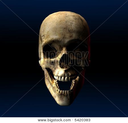 Humanskull