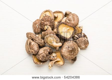 Dried mushroom isolated on white