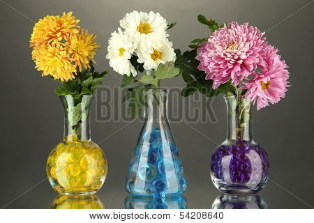 Beautiful flowers in vases with hydrogel on table on gray background