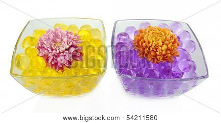 Beautiful flowers in vases with hydrogel isolated on white