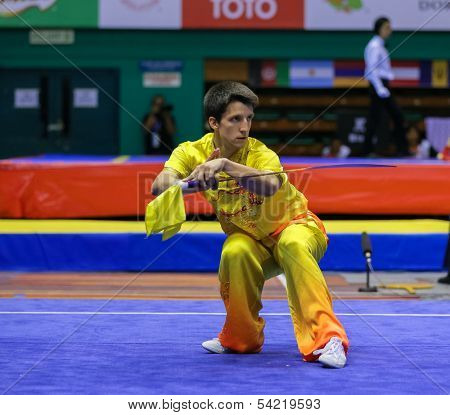 KUALA LUMPUR - NOV 03: Switzerland's Roth Pachlatko performs with a sword in the Men's 'Daoshu' Event at the 12th World Wushu Championship on November 03, 2013 in Kuala Lumpur, Malaysia.