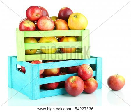 Juicy apples in wooden boxes isolated on white