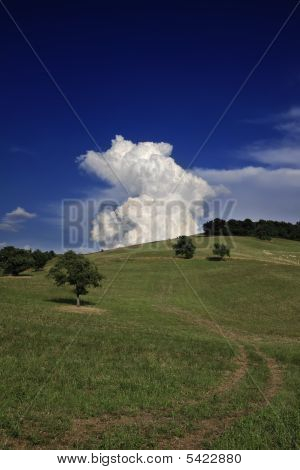 Campagne Toscane Italie près de Pitigliano noir & blanc n/b