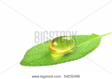closeup of fish oil capsule on sage leaf isolated on white background