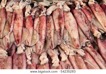 Fresh Squid In Market Thailand
