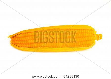 Corn Isolated On White Background