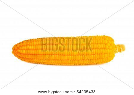 Corn Isolated On White Background