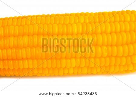 Corn Isolated On White Background