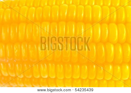 Corn Background, Macro Closeup
