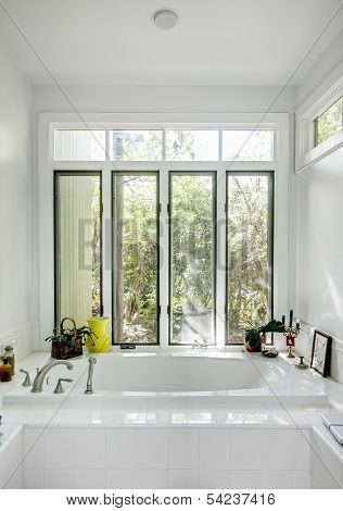 luxury whirlpool bathtub with windows