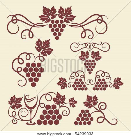 grape vine elements