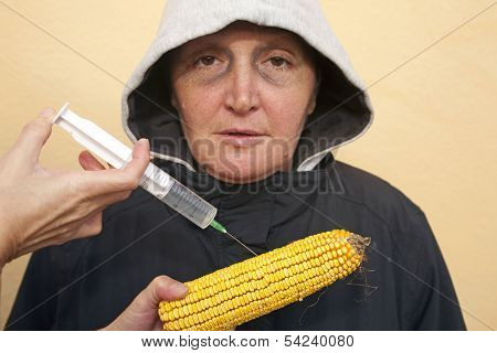 Gmo Corn
