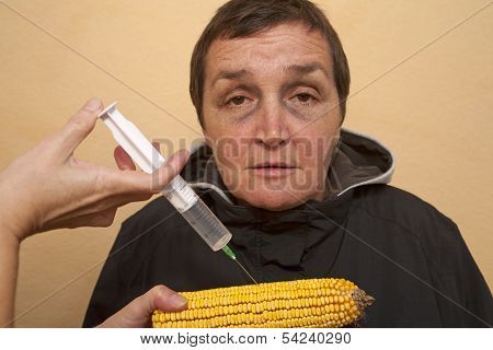 Gmo Corn