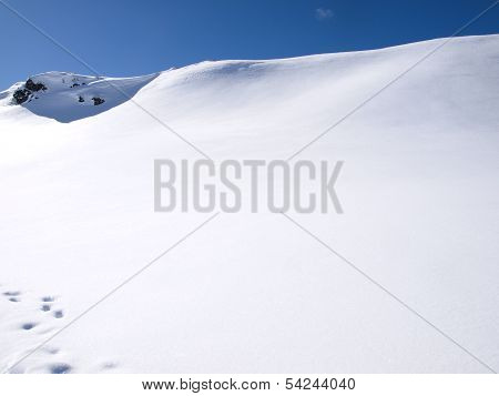 Winter Landscape Background