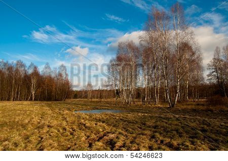 Kampinos On Sun