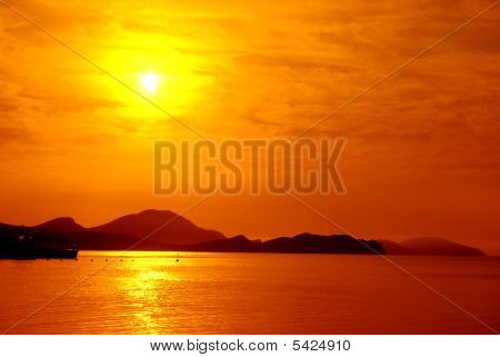 海橙