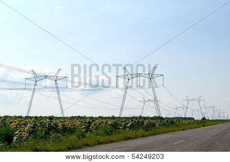 Power Lines