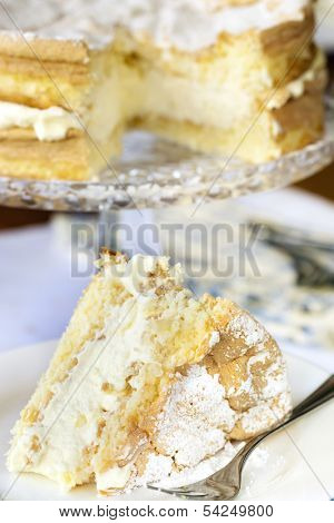 Sponge cake with cream.  Delicious sweet treat.