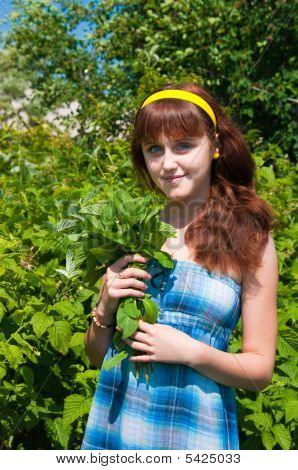 La jeune fille avec un Bouquet de menthe