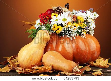 Beautiful autumn composition in pumpkin with pumpkins on table on dark background