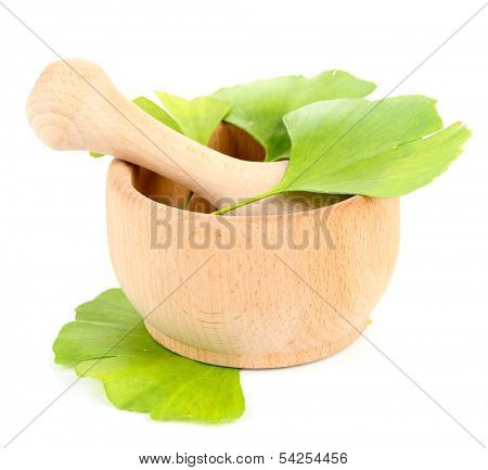Ginkgo biloba leaves in mortar isolated on white