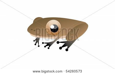 frog