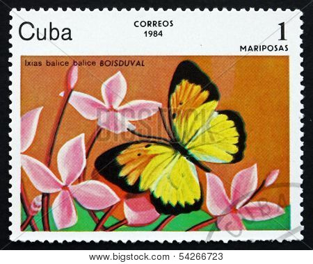 Postage Stamp Cuba 1984 Ixias Balice, Butterfly