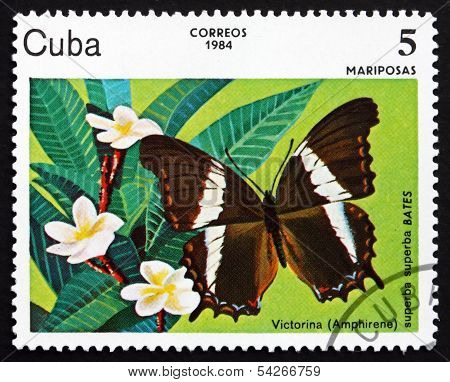 Postage Stamp Cuba 1984 Victorina, Butterfly