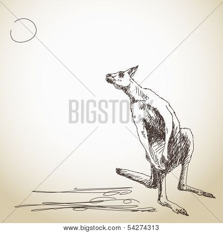 Sketch of kangaroo Vector