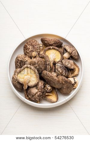 Dried mushroom in the plate