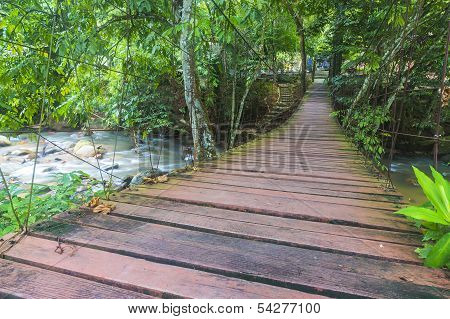 suspended bridge