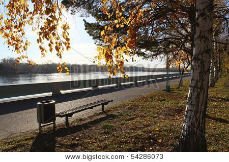 Autumn embankment