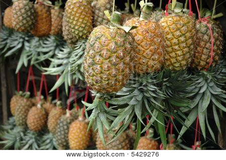 Pineaple