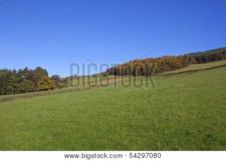 Autumn Meadows And Woodlands
