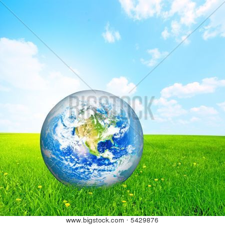 Earth Globe In Green Grass