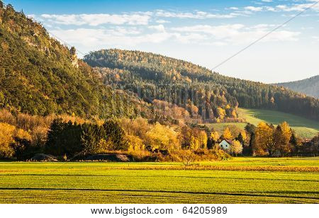 Mountain And Forest Landscape