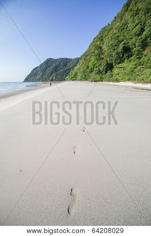 beach and tropical sea