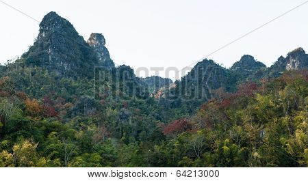 Thai Mountains