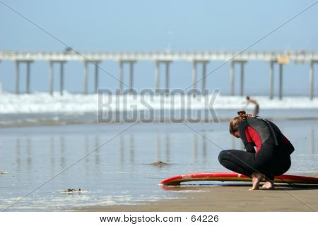 Surfer