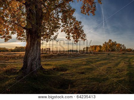 Autumn colors.
