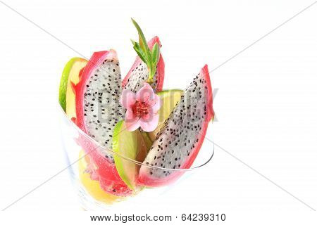 Pitahaya Hylocereus Undatus